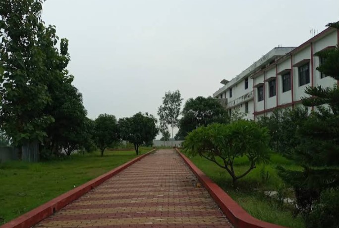 Gallery Image 7